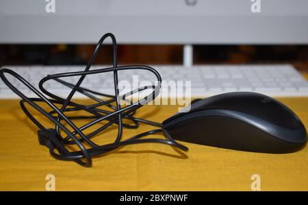 B100 full-size corded mouse by Logitech who is number one world leader in mice. With smooth cursor control it is designed for left or right-handed use Stock Photo