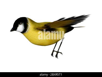 3D rendering of a flying songbird goldfinch isolated on white background Stock Photo