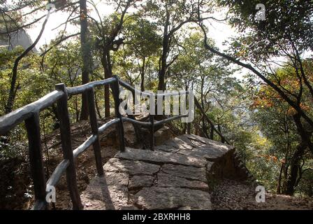 Huangshan Mountain in Anhui Province, China. Path through the forest between Sanxi Bridge and Fairy Walking Bridge on Huangshan. Stock Photo