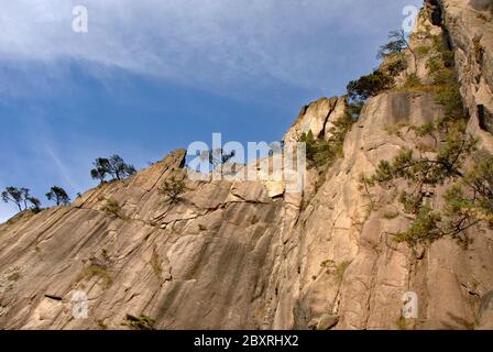Huangshan Mountain in Anhui Province, China. Viewpoint near Fairy Walking Bridge on Huangshan. View of a steep cliff with pine trees. Stock Photo