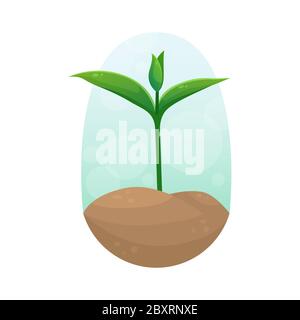 A young sprout in a clump of soil. Vector illustration. Seedling planting season. Subsistence farming. Stock Vector