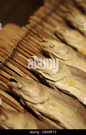 Dried salt Fish Stock Photo - Alamy