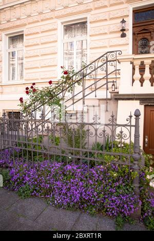 flowers in front of a Wilhelminian style house on Arndtstrasse in the district Suedstadt, Bonn, North Rhine-Westphalia, Germany.  Blumen vor einem Gru Stock Photo