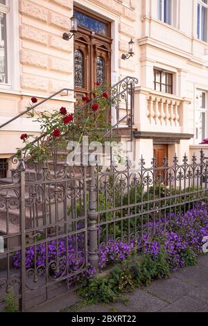 flowers in front of a Wilhelminian style house on Arndtstrasse in the district Suedstadt, Bonn, North Rhine-Westphalia, Germany.  Blumen vor einem Gru Stock Photo