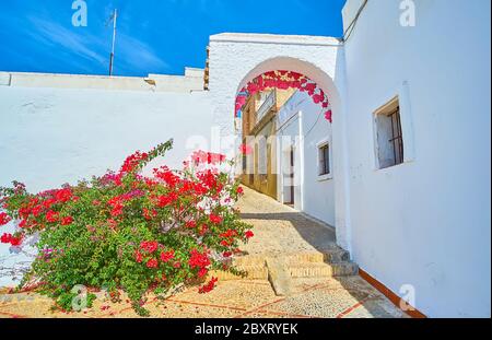 The arch of Abades viewpoint with lush blooming bougainvillea bush and bright pink flowers aginst the white wall, Arcos, Spain Stock Photo