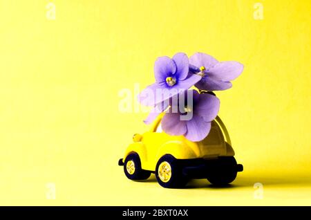 Card with a little toy car delivering bouquet blue flowers on yellow background. Stock Photo