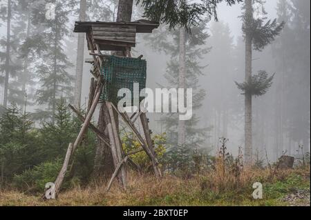 Gray fog hangs between the trees in the mountain forest. On this wet and cold November morning and  high seat is lonely and abandoned on the tree. Stock Photo