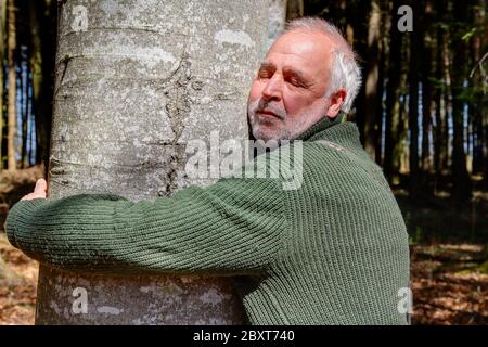 An older man lovingly hugs a tree trunk and feels relaxed and good. Hugging a tree is good for the immune system, protects against heart attack, depre Stock Photo