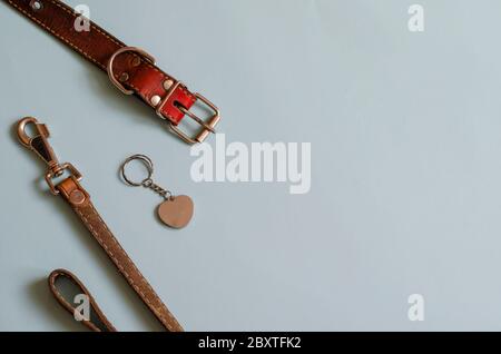 Loss of pet background. Accessories for dogs on a light blue background. Old leather collar, address tag and leash. Copy space. Stock Photo