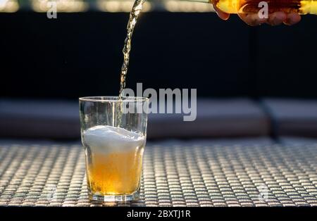 Hand holds bottle of beer. Beer falling down to the glass. Freezing motion. Bar, pub, restaurant concept. Copy space, grey background.  Stock Photo