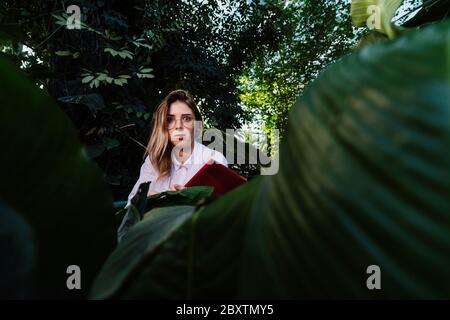 Young agricultural engineer examines leaves in greenhouse Stock Photo
