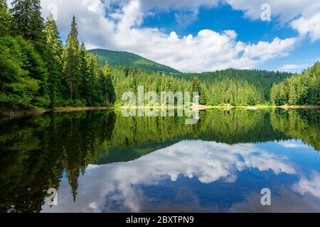 reflection in the water. lake among the forest. beautiful nature landscape in summer. sunny weather with puffy clouds on the sky Stock Photo