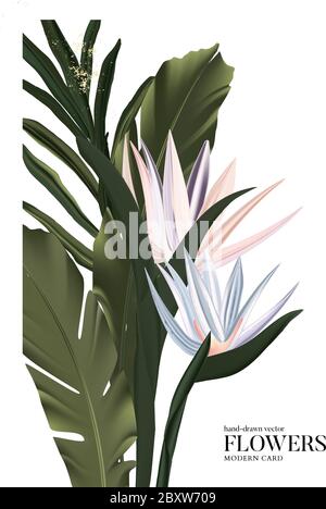 Vector exotic palm banners set with green tropical leaves and flowers background. Botanical design for photography, florist shop, cosmetics, spa, perf Stock Vector