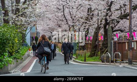 People walking in the street in Meguro neighborhood, during cherry blossom season in Tokyo, Japan Stock Photo