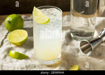 Boozy Alcoholic Lime Gin Rickey Cocktail with Soda Stock Photo