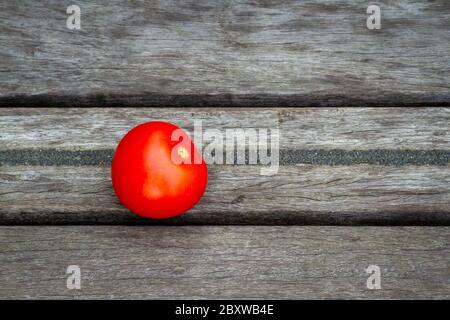 Bright red tomato on a grey background Stock Photo