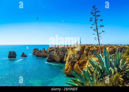 Amazing cliffs above Algarve coastline and agave succulent plant neer Lagos city in Portugal, Europe Stock Photo