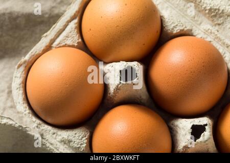 Raw Organic Brown Eggs Ready to Cook Stock Photo