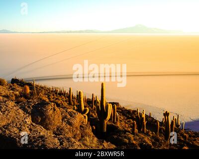 Isla Incahuasi - Isla del Pescado - in the middle of the world's biggest salt plain Salar de Uyuni, Bolivia. Island is covered in Trichoreus cactus. Stock Photo