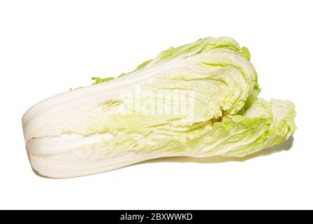 Pekingese cabbage isolated on white. Stock Photo