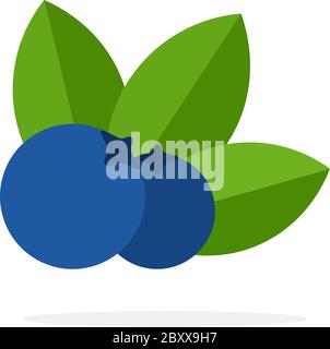Two berries blueberry with leaves vector flat material design isolated object on white background. Stock Vector