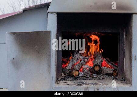 Hot vivid burning birch logs in fireplace on a cold winter day Stock Photo