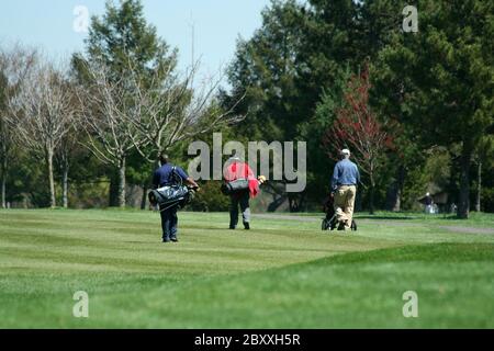 Three golfers walking down the fairway Stock Photo
