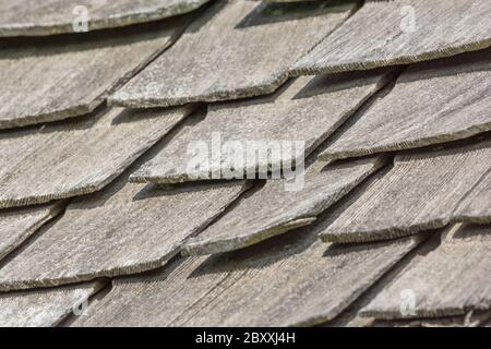 Wind and rain damaged old wood shingle / wood shake roof in poor repair, poor condition, & needs replacing. Idiom got a slate loose, & mental illness. Stock Photo