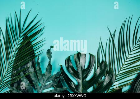 Mix of tropical green fresh leaves on turquoise background. Summer concept. Stock Photo