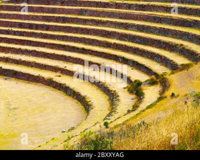 Terraced fields as a part of incan agricultural system in Urubamba valley and Machu Picchu, Peru Stock Photo