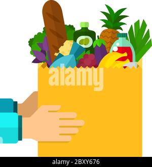 Package of food in human hands vector flat isolated Stock Vector