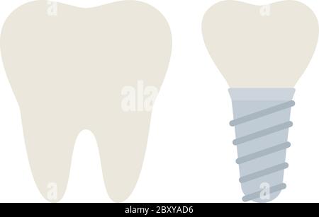 Whole molar and dental implant vector icon flat isolated Stock Vector
