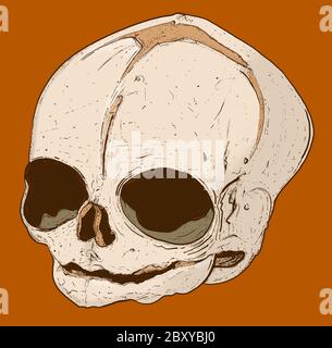 Human hand drawn skull fear death head dead pirate Stock Photo