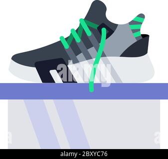 Lace-up sneakers on the box vector icon flat isolated Stock Vector