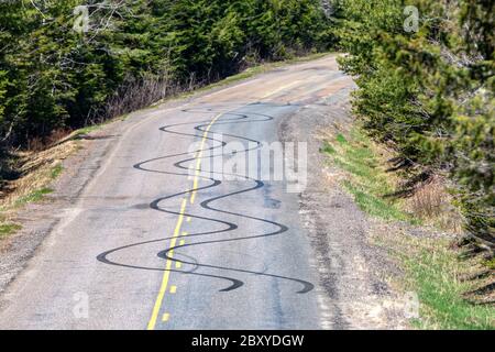 Wavy skid marks on a two lane highway. Marks and in a passing zone. Trees on both sides of the road. Road turns past skid marks. Stock Photo