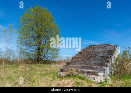 An old set of leading up to nowhere. The stairs are crumbling in places, and have moss and lichens on them. Tree in background, blue sky above. Stock Photo