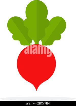Red Sugar beet Stock Vector