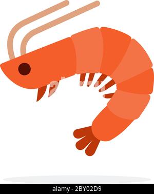 Mediterranean shrimp vector flat isolated Stock Vector