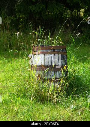 A weathered rusted old barrel with a green garden background in portrait format. Stock Photo