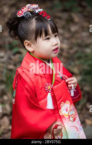 Tokyo Japan October 30th 2016 : Little girl in traditional Japanese kimono at the Meiji temple in Tokyo Stock Photo