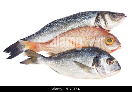 choise of fresh fish Stock Photo