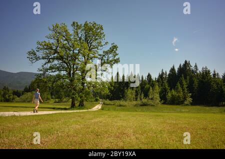 woman walking through farmland and woods on a dirt road at alpine foothills near Knappenfeld, upper bavaria, Germany Stock Photo