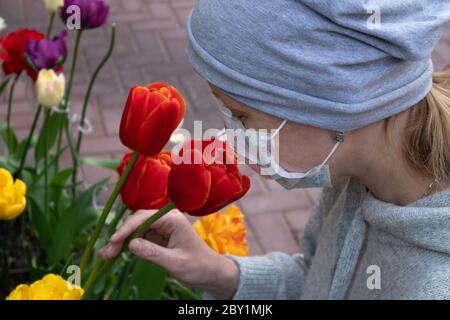 Woman in medical face mask dressed in grey smelling bright tulips growing on a flowerbed Stock Photo