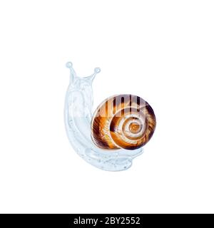 Creative image of cosmetics with snail Concept Facial Body Care with Snail Slime