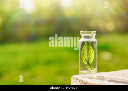Small sheet in glass laboratory bottle to extracts and bio cosmetics for skin Stock Photo