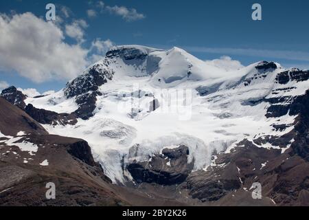 Mount Athabasca from Wilcox Ridge Stock Photo