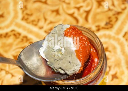 Mold growing on the tomato paste. Close up Stock Photo