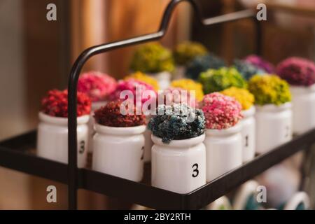 Colorful decorative flowers plant on a ceramic vase with displayed on a black shelf. Stock Photo