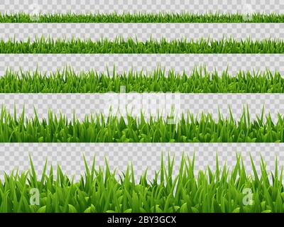 Vector green grass border collection. Stock Vector