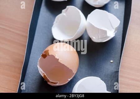 Cracked white and brown egg shells in a paper basket on wooden desk or table in the kitchen, close-up, view from directly above Stock Photo